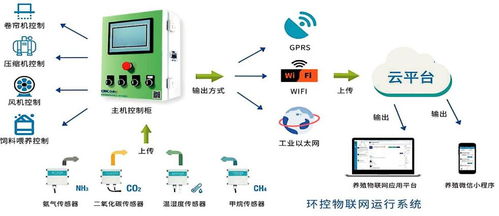 智慧農(nóng)業(yè)新篇章 基于植物生長模型的AI數(shù)字化大棚物聯(lián)網(wǎng)設(shè)備